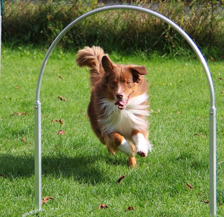 2 Jahre Hoopers Image